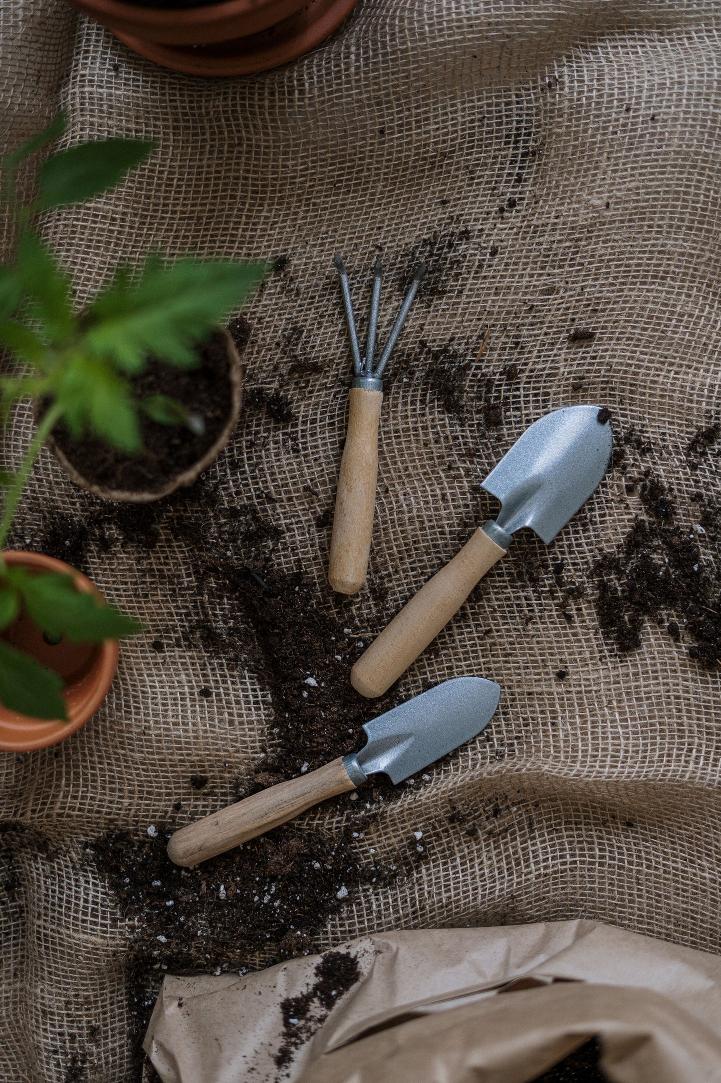 Pot compostable pour semis, par unité ou par lot