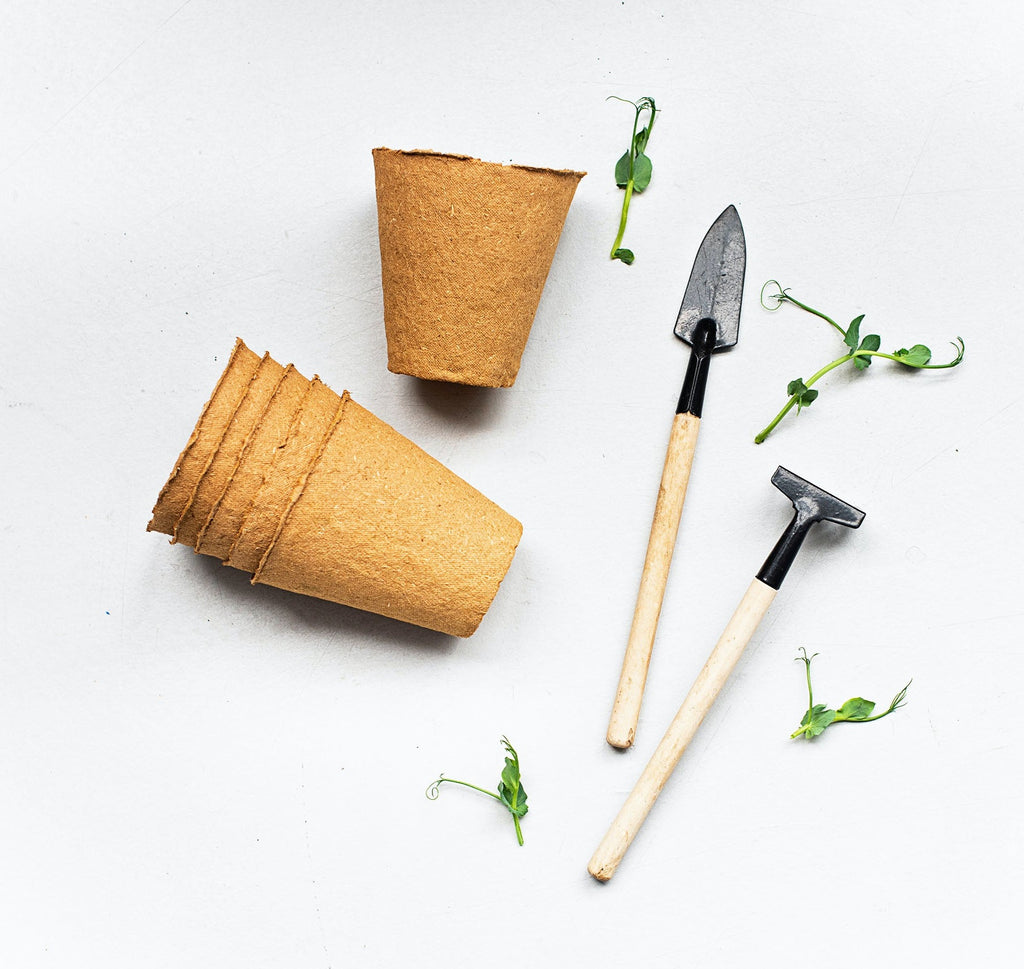 Pot compostable pour semis, par unité ou par lot