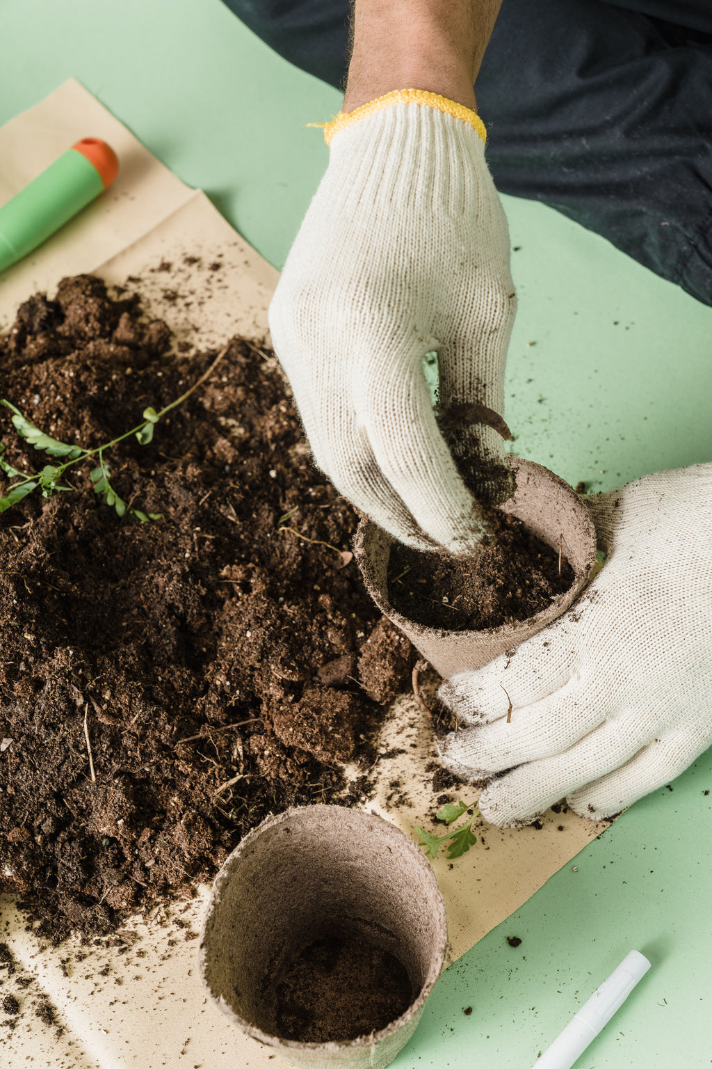 Pot compostable pour semis, par unité ou par lot